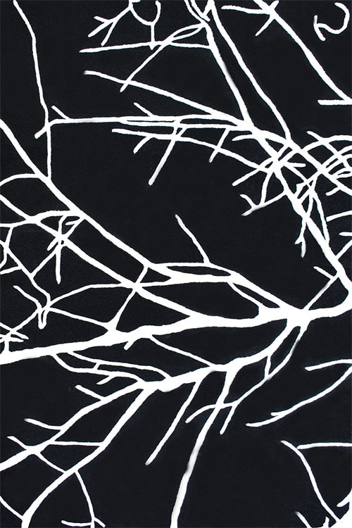 Baileey Handtufted Rug